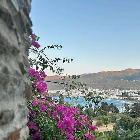 Ktima Velanidies - Holiday home