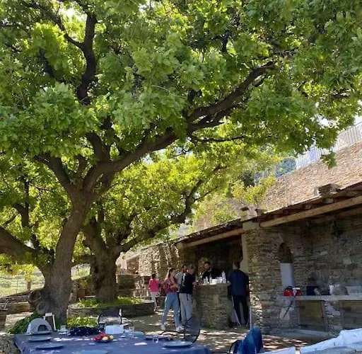 Ktima Velanidies - *